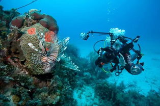 潜水设备 凭实力单身的“硬核”浪漫与逻辑分析