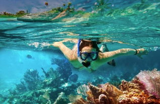 探索深海奥秘 潜水设备的演进与选择指南